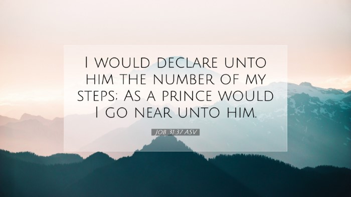 Picture 07 - Job 31:37 ASV Desktop Wallpaper - I would declare unto him the number of my steps; - Desktop Bible Verse Wallpaper