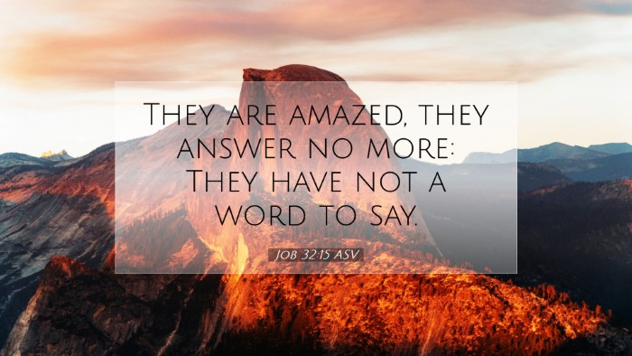 Picture 07 - Job 32:15 ASV Desktop Wallpaper - They are amazed, they answer no more: They have - Desktop Bible Verse Wallpaper