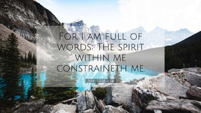 Picture 07 - Job 32:18 ASV Desktop Wallpaper - For I am full of words; The spirit within me - Desktop Bible Verse Wallpaper