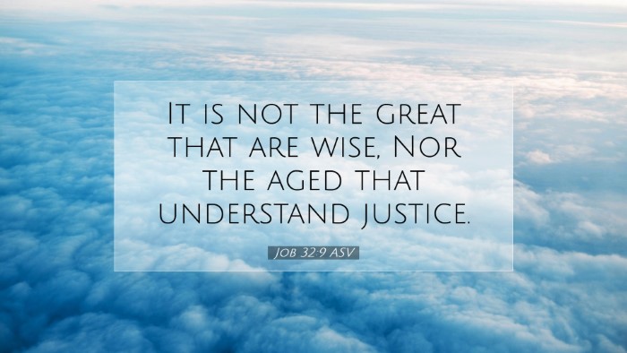 Picture 07 - Job 32:9 ASV Desktop Wallpaper - It is not the great that are wise, Nor the aged - Desktop Bible Verse Wallpaper
