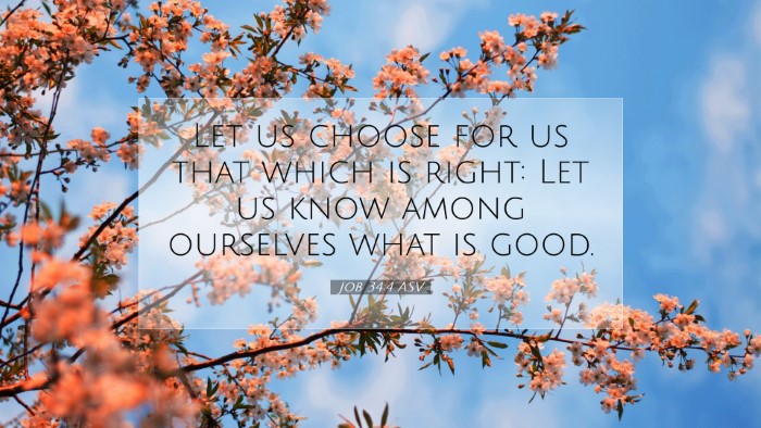 Picture 07 - Job 34:4 ASV Desktop Wallpaper - Let us choose for us that which is right: Let us - Desktop Bible Verse Wallpaper