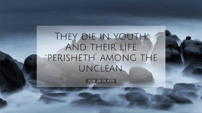 Picture 07 - Job 36:14 ASV Desktop Wallpaper - They die in youth, And their life `perisheth' - Desktop Bible Verse Wallpaper