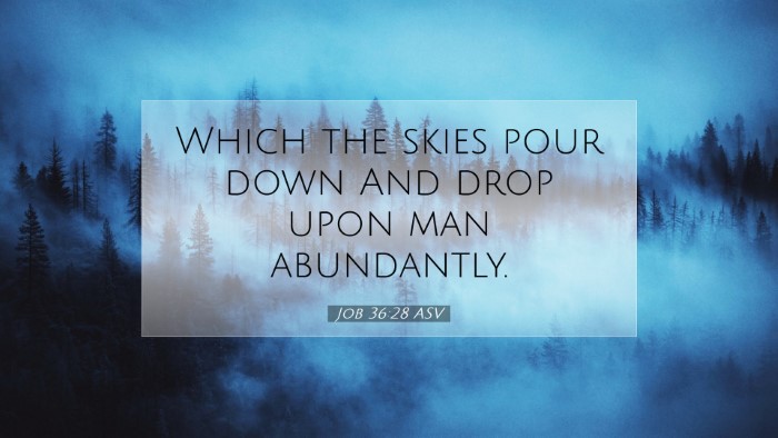 Picture 07 - Job 36:28 ASV Desktop Wallpaper - Which the skies pour down And drop upon man - Desktop Bible Verse Wallpaper