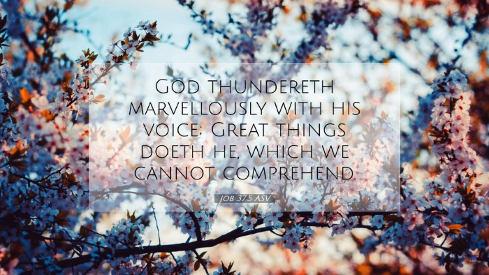 Picture 07 - Job 37:5 ASV Desktop Wallpaper - God thundereth marvellously with his voice; Great - Desktop Bible Verse Wallpaper