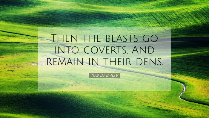 Picture 07 - Job 37:8 ASV Desktop Wallpaper - Then the beasts go into coverts, And remain in - Desktop Bible Verse Wallpaper