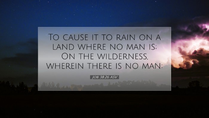 Picture 07 - Job 38:26 ASV Desktop Wallpaper - To cause it to rain on a land where no man is; On - Desktop Bible Verse Wallpaper