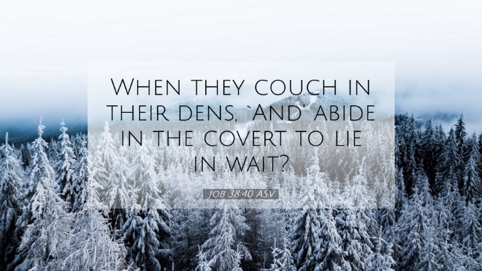 Picture 07 - Job 38:40 ASV Desktop Wallpaper - When they couch in their dens, `And' abide in the - Desktop Bible Verse Wallpaper