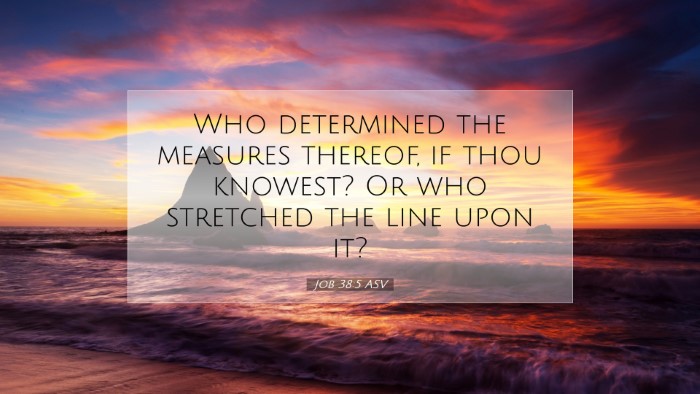 Picture 07 - Job 38:5 ASV Desktop Wallpaper - Who determined the measures thereof, if thou - Desktop Bible Verse Wallpaper