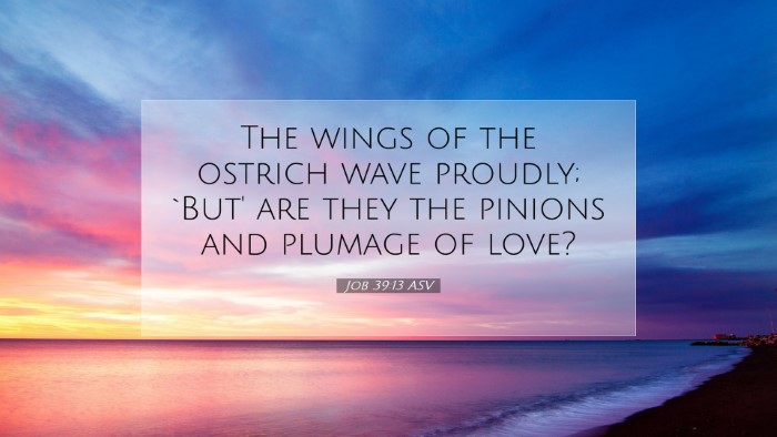 Picture 07 - Job 39:13 ASV Desktop Wallpaper - The wings of the ostrich wave proudly; `But' are - Desktop Bible Verse Wallpaper