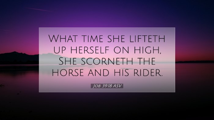 Picture 07 - Job 39:18 ASV Desktop Wallpaper - What time she lifteth up herself on high, She - Desktop Bible Verse Wallpaper
