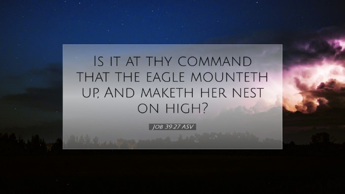 Picture 07 - Job 39:27 ASV Desktop Wallpaper - Is it at thy command that the eagle mounteth up, - Desktop Bible Verse Wallpaper