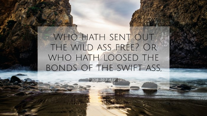Picture 07 - Job 39:5 ASV Desktop Wallpaper - Who hath sent out the wild ass free? Or who hath - Desktop Bible Verse Wallpaper