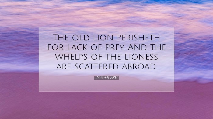 Picture 07 - Job 4:11 ASV Desktop Wallpaper - The old lion perisheth for lack of prey, And the - Desktop Bible Verse Wallpaper