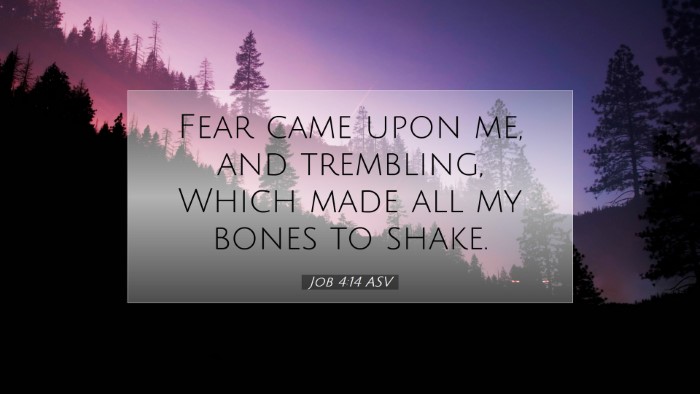 Picture 07 - Job 4:14 ASV Desktop Wallpaper - Fear came upon me, and trembling, Which made all - Desktop Bible Verse Wallpaper