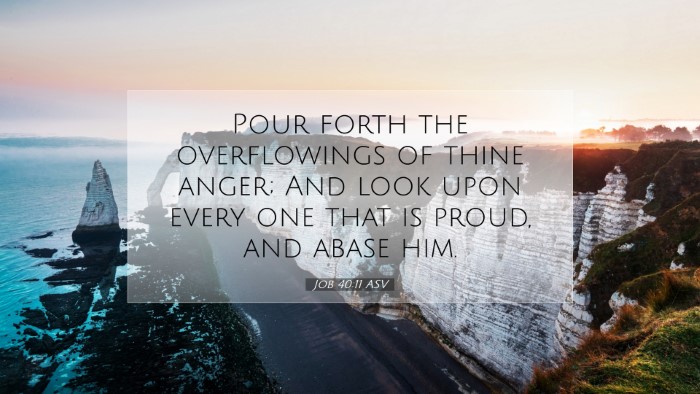 Picture 07 - Job 40:11 ASV Desktop Wallpaper - Pour forth the overflowings of thine anger; And - Desktop Bible Verse Wallpaper