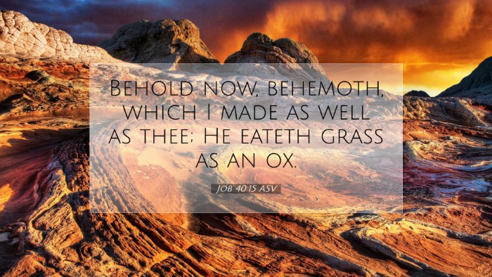 Picture 07 - Job 40:15 ASV Desktop Wallpaper - Behold now, behemoth, which I made as well as - Desktop Bible Verse Wallpaper