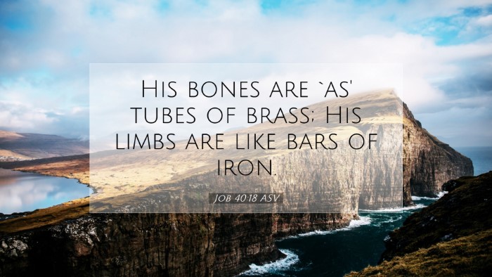 Picture 07 - Job 40:18 ASV Desktop Wallpaper - His bones are `as' tubes of brass; His limbs are - Desktop Bible Verse Wallpaper