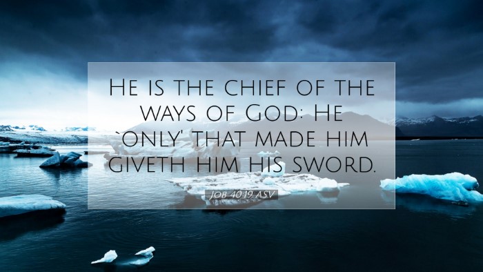Picture 07 - Job 40:19 ASV Desktop Wallpaper - He is the chief of the ways of God: He `only' - Desktop Bible Verse Wallpaper