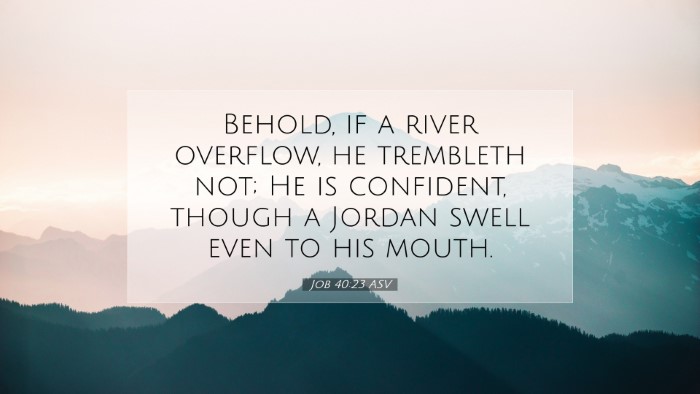 Picture 07 - Job 40:23 ASV Desktop Wallpaper - Behold, if a river overflow, he trembleth not; He - Desktop Bible Verse Wallpaper
