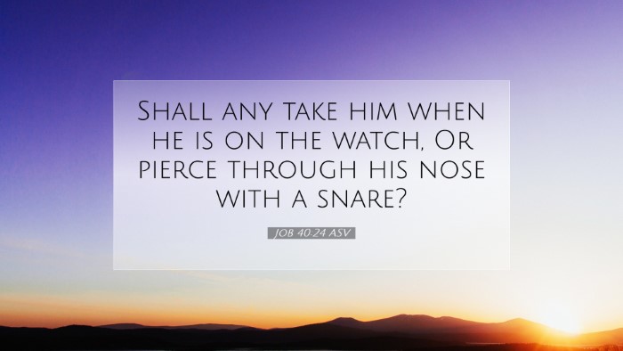 Picture 07 - Job 40:24 ASV Desktop Wallpaper - Shall any take him when he is on the watch, Or - Desktop Bible Verse Wallpaper