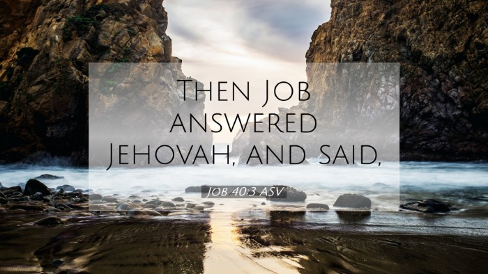 Picture 07 - Job 40:3 ASV Desktop Wallpaper - Then Job answered Jehovah, and - Desktop Bible Verse Wallpaper