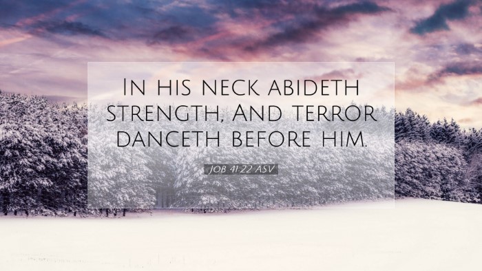 Picture 07 - Job 41:22 ASV Desktop Wallpaper - In his neck abideth strength, And terror danceth - Desktop Bible Verse Wallpaper