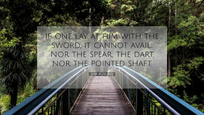 Picture 07 - Job 41:26 ASV Desktop Wallpaper - If one lay at him with the sword, it cannot - Desktop Bible Verse Wallpaper