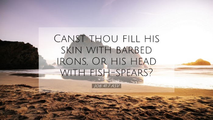 Picture 07 - Job 41:7 ASV Desktop Wallpaper - Canst thou fill his skin with barbed irons, Or - Desktop Bible Verse Wallpaper