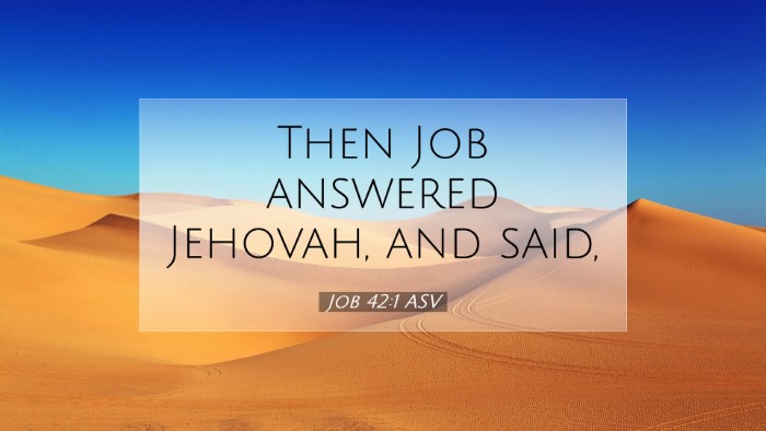 Picture 07 - Job 42:1 ASV Desktop Wallpaper - Then Job answered Jehovah, and - Desktop Bible Verse Wallpaper