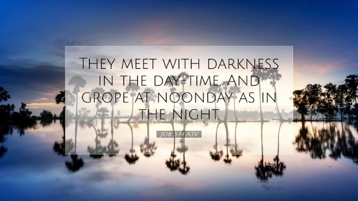 Picture 07 - Job 5:14 ASV Desktop Wallpaper - They meet with darkness in the day-time, And - Desktop Bible Verse Wallpaper