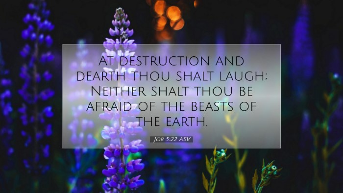 Picture 07 - Job 5:22 ASV Desktop Wallpaper - At destruction and dearth thou shalt laugh; - Desktop Bible Verse Wallpaper