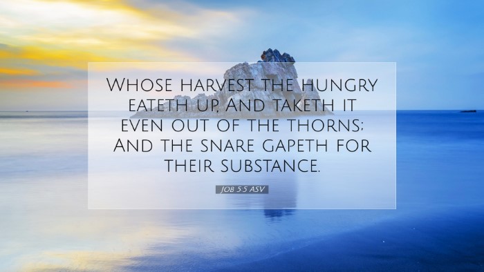 Picture 07 - Job 5:5 ASV Desktop Wallpaper - Whose harvest the hungry eateth up, And taketh it - Desktop Bible Verse Wallpaper