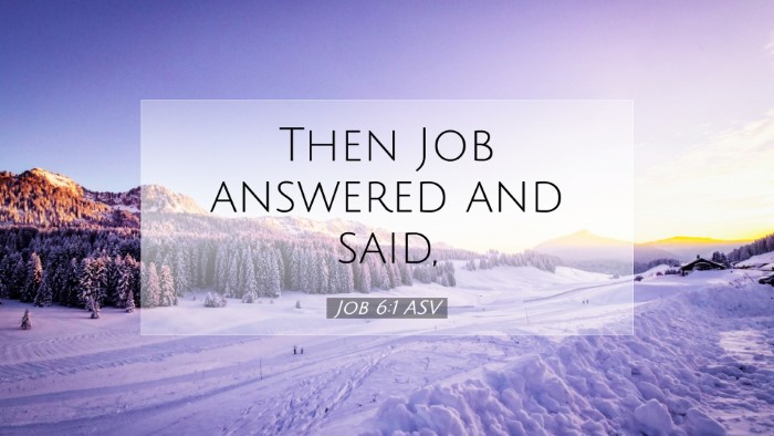 Picture 07 - Job 6:1 ASV Desktop Wallpaper - Then Job answered and - Desktop Bible Verse Wallpaper