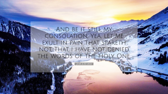 Picture 07 - Job 6:10 ASV Desktop Wallpaper - And be it still my consolation, Yea, let me exult - Desktop Bible Verse Wallpaper