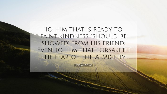 Picture 07 - Job 6:14 ASV Desktop Wallpaper - To him that is ready to faint kindness `should be - Desktop Bible Verse Wallpaper