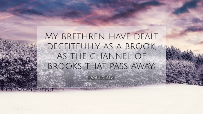 Picture 07 - Job 6:15 ASV Desktop Wallpaper - My brethren have dealt deceitfully as a brook, As - Desktop Bible Verse Wallpaper