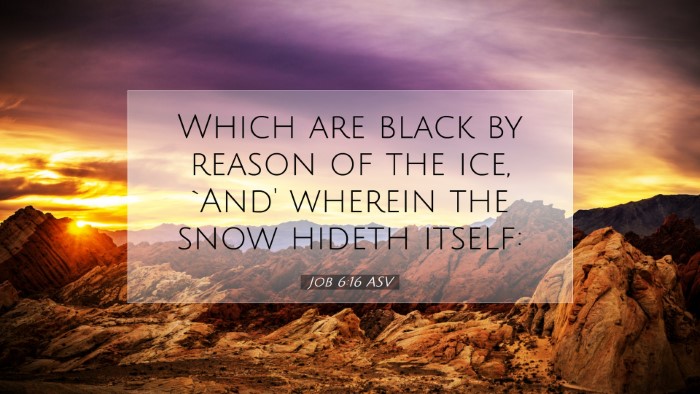 Picture 07 - Job 6:16 ASV Desktop Wallpaper - Which are black by reason of the ice, `And' - Desktop Bible Verse Wallpaper