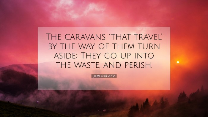 Picture 07 - Job 6:18 ASV Desktop Wallpaper - The caravans `that travel' by the way of them - Desktop Bible Verse Wallpaper