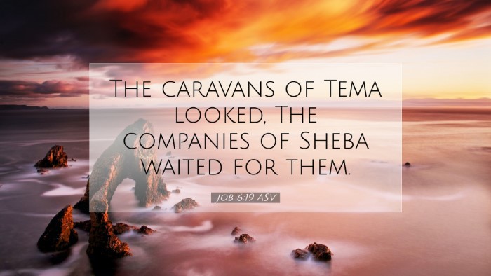Picture 07 - Job 6:19 ASV Desktop Wallpaper - The caravans of Tema looked, The companies of - Desktop Bible Verse Wallpaper