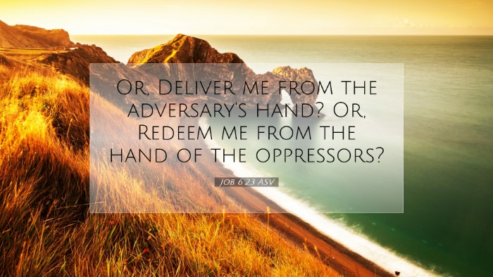 Picture 07 - Job 6:23 ASV Desktop Wallpaper - Or, Deliver me from the adversary's hand? Or, - Desktop Bible Verse Wallpaper