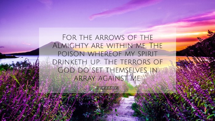 Picture 07 - Job 6:4 ASV Desktop Wallpaper - For the arrows of the Almighty are within me, The - Desktop Bible Verse Wallpaper