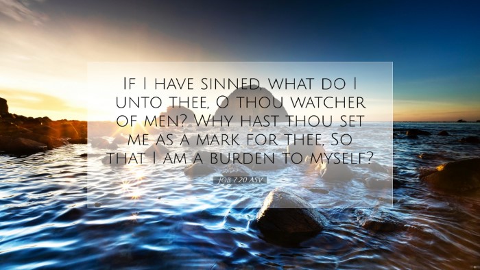 Picture 07 - Job 7:20 ASV Desktop Wallpaper - If I have sinned, what do I unto thee, O thou - Desktop Bible Verse Wallpaper