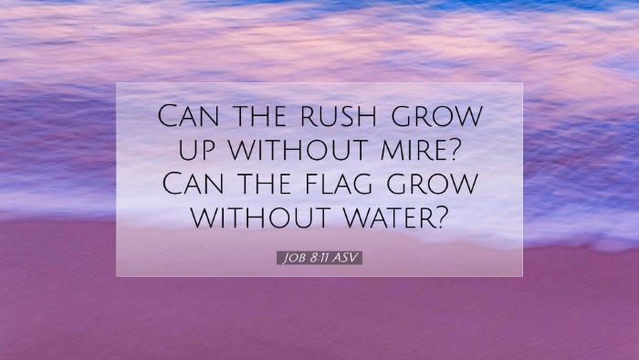 Picture 07 - Job 8:11 ASV Desktop Wallpaper - Can the rush grow up without mire? Can the flag - Desktop Bible Verse Wallpaper