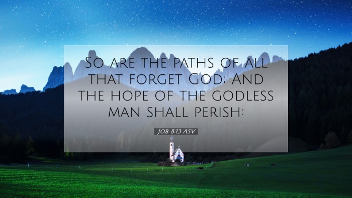 Picture 07 - Job 8:13 ASV Desktop Wallpaper - So are the paths of all that forget God; And the - Desktop Bible Verse Wallpaper