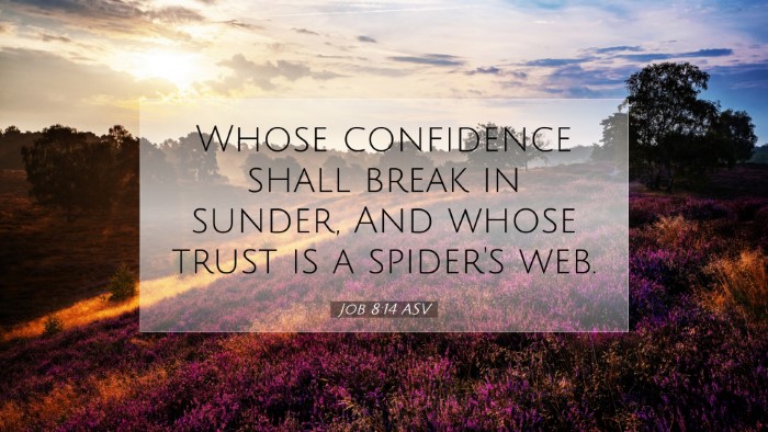 Picture 07 - Job 8:14 ASV Desktop Wallpaper - Whose confidence shall break in sunder, And whose - Desktop Bible Verse Wallpaper