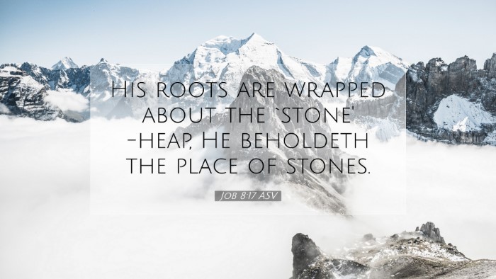 Picture 07 - Job 8:17 ASV Desktop Wallpaper - His roots are wrapped about the `stone' -heap, He - Desktop Bible Verse Wallpaper