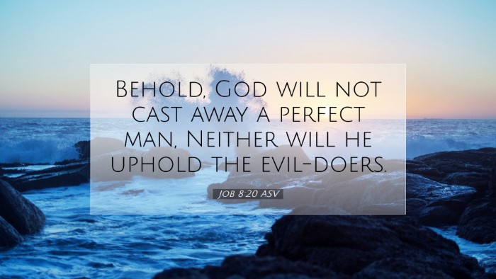 Picture 07 - Job 8:20 ASV Desktop Wallpaper - Behold, God will not cast away a perfect man, - Desktop Bible Verse Wallpaper