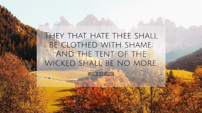 Picture 07 - Job 8:22 ASV Desktop Wallpaper - They that hate thee shall be clothed with shame; - Desktop Bible Verse Wallpaper