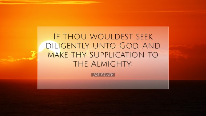 Picture 07 - Job 8:5 ASV Desktop Wallpaper - If thou wouldest seek diligently unto God, And - Desktop Bible Verse Wallpaper