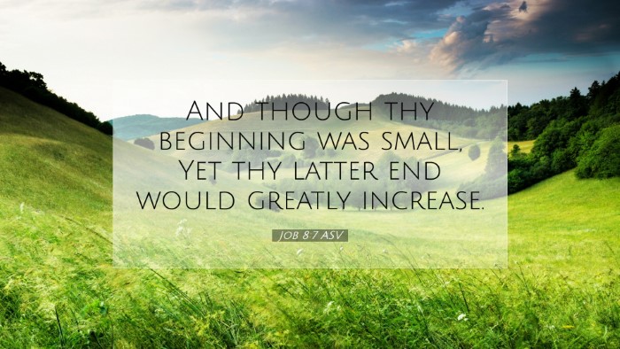 Picture 07 - Job 8:7 ASV Desktop Wallpaper - And though thy beginning was small, Yet thy - Desktop Bible Verse Wallpaper